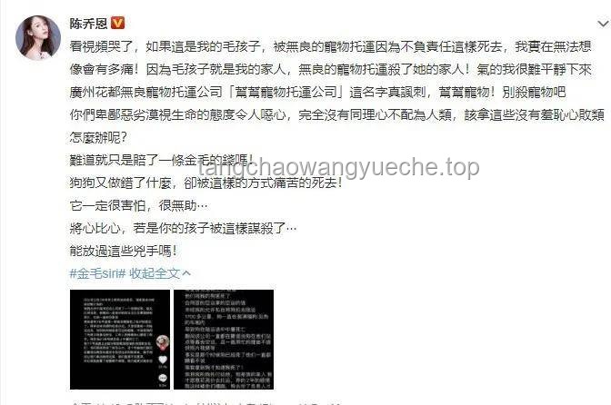 “最符合阅片无数的一集！从来没这么紧张过”——《阅片无数SP》深度剖析与行业趋势